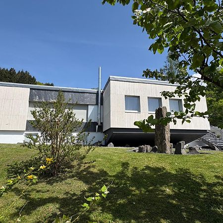 Kickens Apartment Adenau Bagian luar foto